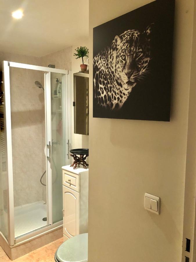 Centre 5 Minutes De La Apartment *